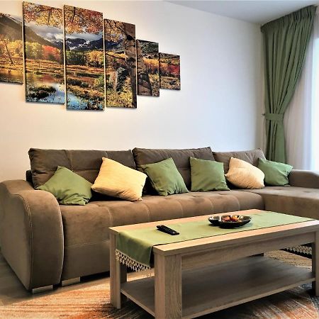 Mountain View Escape Apartment บราชอฟ ภายนอก รูปภาพ