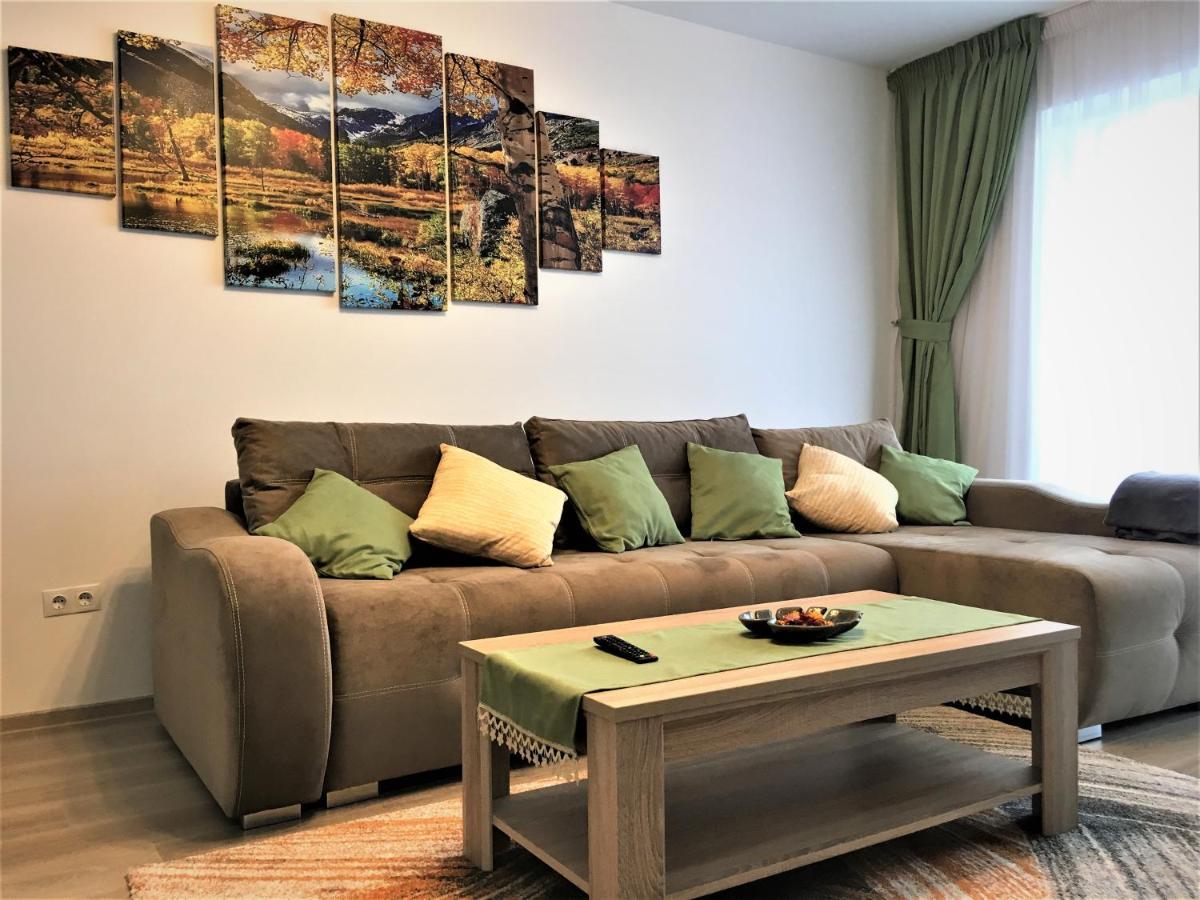 Mountain View Escape Apartment บราชอฟ ภายนอก รูปภาพ