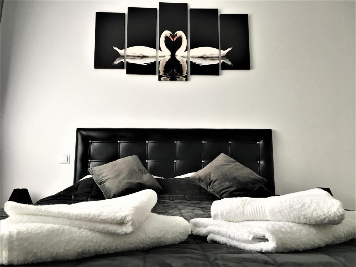 Mountain View Escape Apartment บราชอฟ ภายนอก รูปภาพ