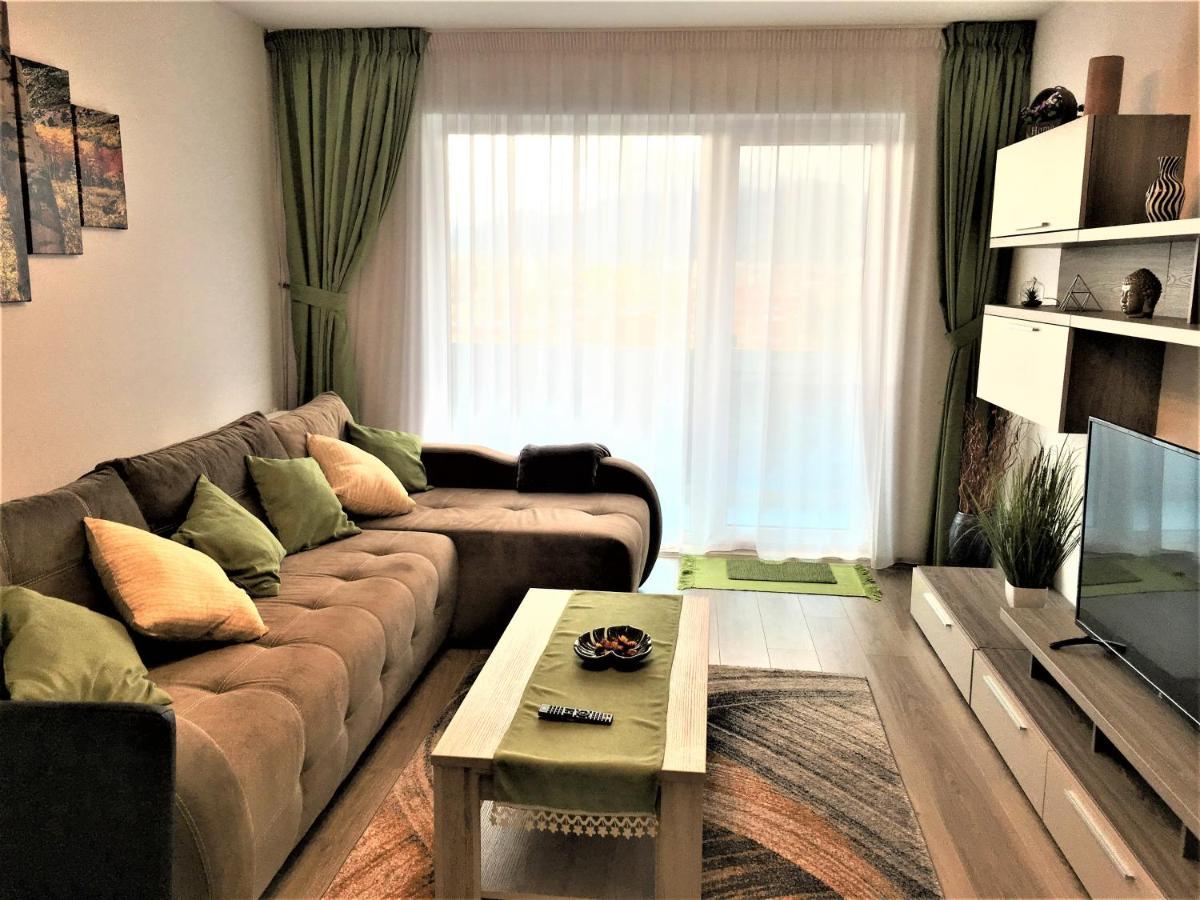 Mountain View Escape Apartment บราชอฟ ภายนอก รูปภาพ